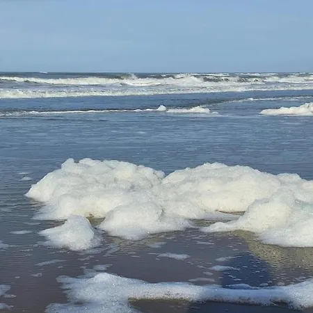 In North Holland Near Beach, Cleaning Included Lejlighed