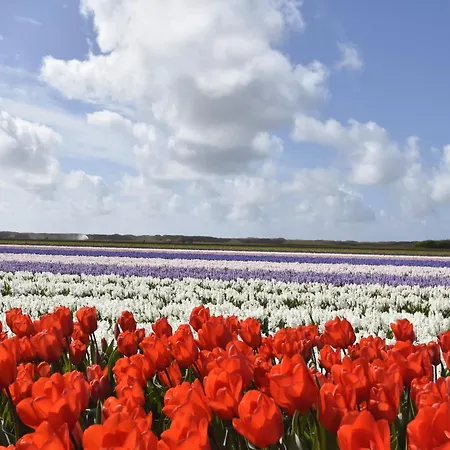 In North Holland Near Beach, Cleaning Included Каллантсог