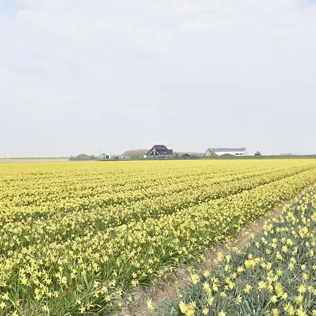 Lejlighed In North Holland Near Beach, Cleaning Included