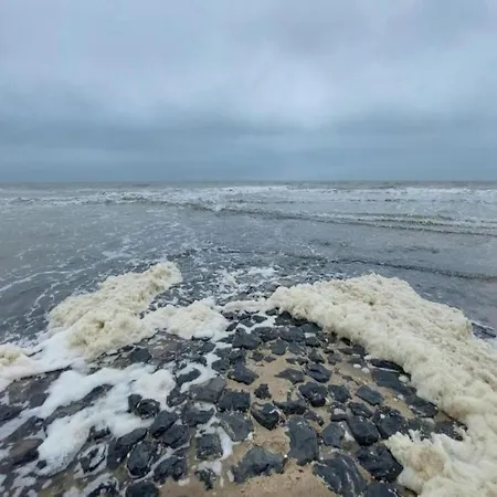 In North Holland Near Beach, Cleaning Included Апартаменты *